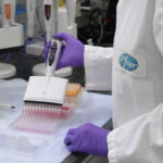 Genera optimismo resultado de la vacuna experimental de Pfizer contra COVID-19
