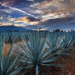Para reactivar viajes, SECTUR va a España por los turistas con Pueblos Mágicos