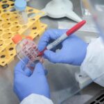Detectan una descendiente de la variante delta que podría ser más contagiosa