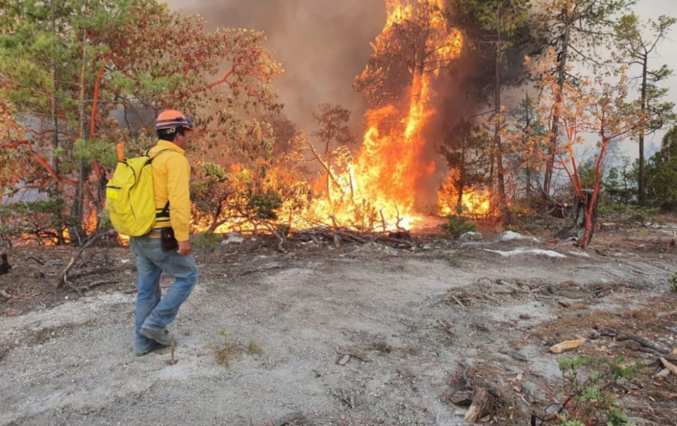 Chihuahua ya registró 17 incendios forestales en lo que va del año