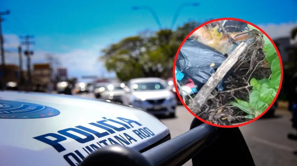A 4 días del 8M, hallan el cuerpo de una mujer en la laguna Manatí de Cancún thumbnail