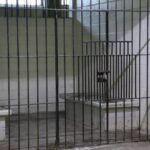 Detienen a dos jueces por falsear amparos en Chihuahua y Tamaulipas