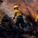 Chihuahua ocupa cuarto lugar a nivel nacional en superficie afectada por incendios