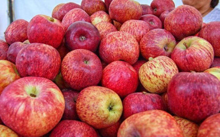 Lidera Chihuahua en la producción de manzana a nivel nacional thumbnail