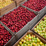 Lidera Chihuahua la producción de manzana a nivel nacional