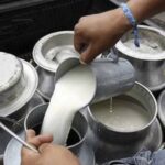 Supera Chihuahua producción lechera respecto a 2021