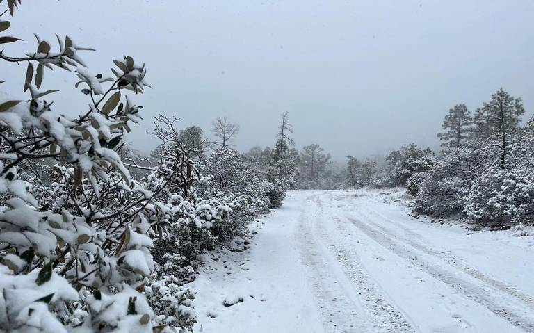 Alerta Protección Civil por bajas temperaturas y prevé nieve en la Sierra norte thumbnail