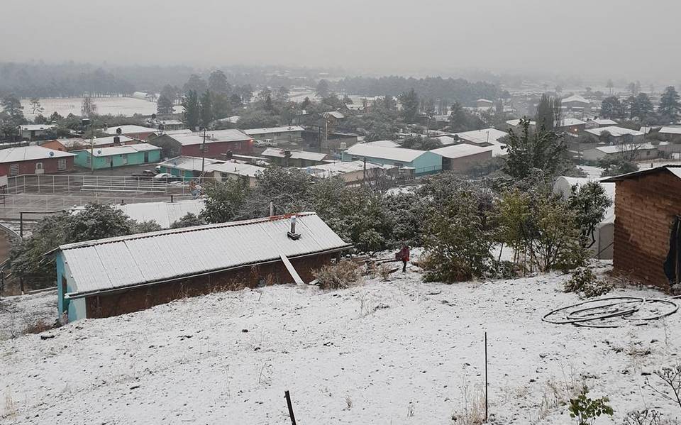 Reportan caída de nieve en 21 municipios de Chihuahua