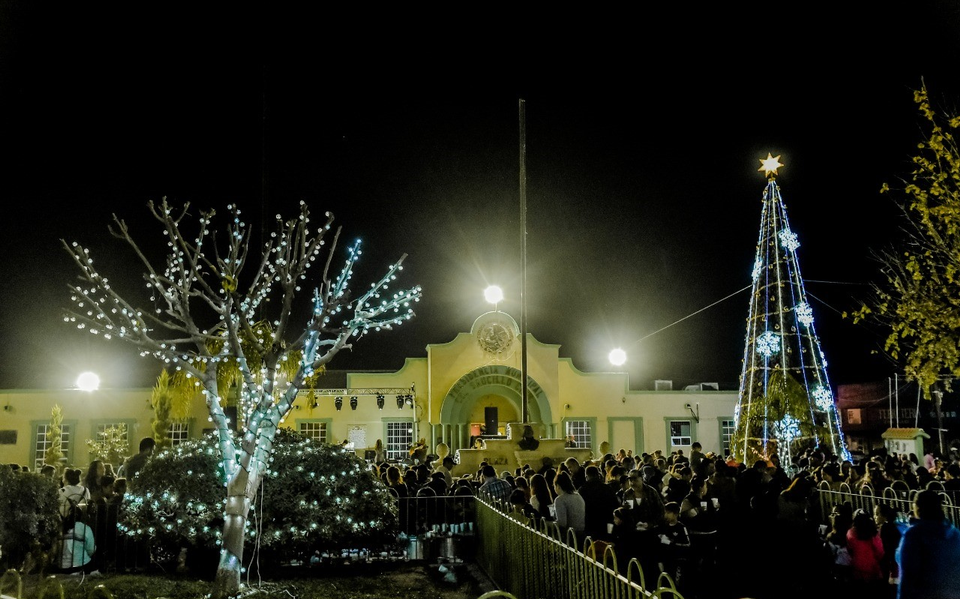 Encienden árbol navideño monumental en Saucillo thumbnail