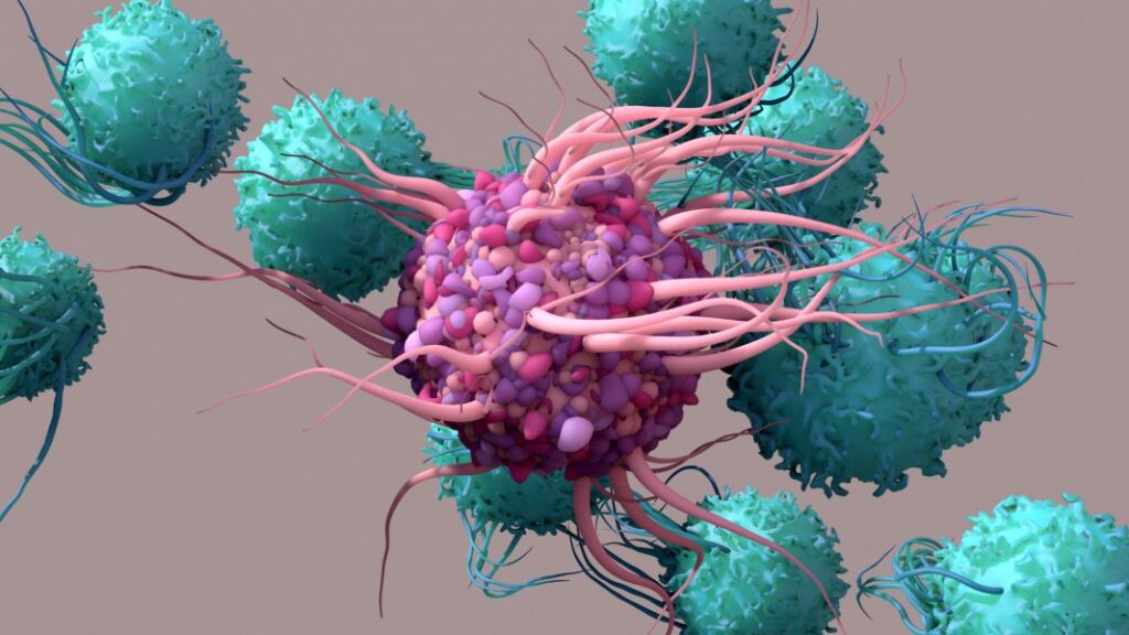 Dentritic Cell activate T cells, trigger immune responses, they are responsible of cells protection of the body. thumbnail