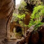 ¿Listo para viajar? Conoce los vuelos directos que salen desde Chihuahua