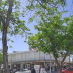 Ciudad Juárez amanece con 9°C; se espera una máxima de 24°C