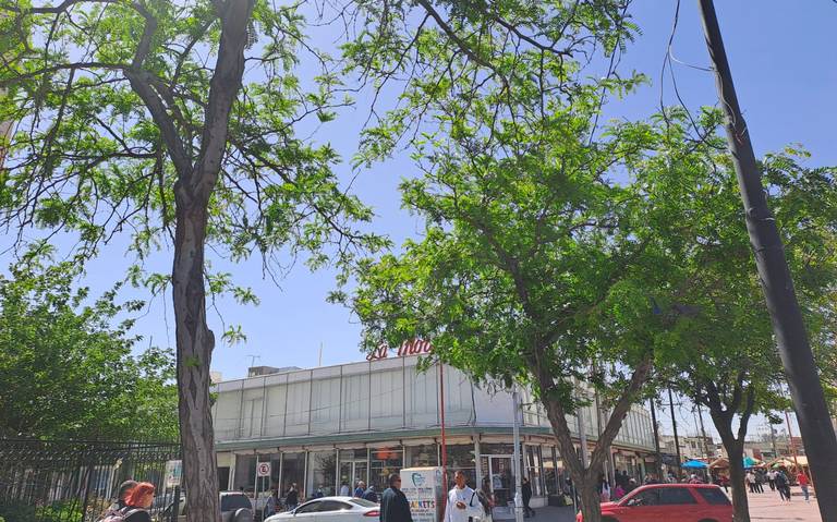 Ciudad Juárez amanece con 9°C; se espera una máxima de 24°C
