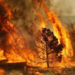 Chihuahua encabeza los incendios forestales en el país