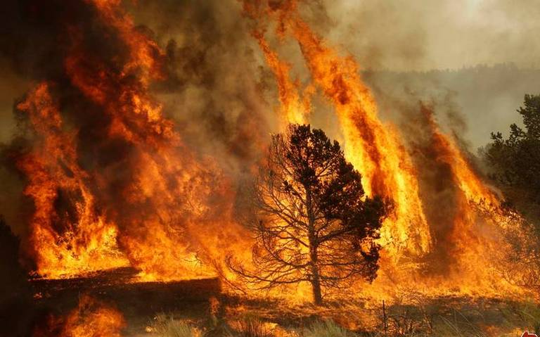 Chihuahua encabeza los incendios forestales en el país