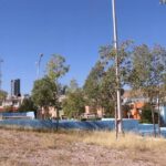 Déficit de casi 3 millones de árboles en Chihuahua capital