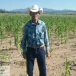 Descarta coordinadora de «Sembrando Vida» imposición de siembra a beneficiarios