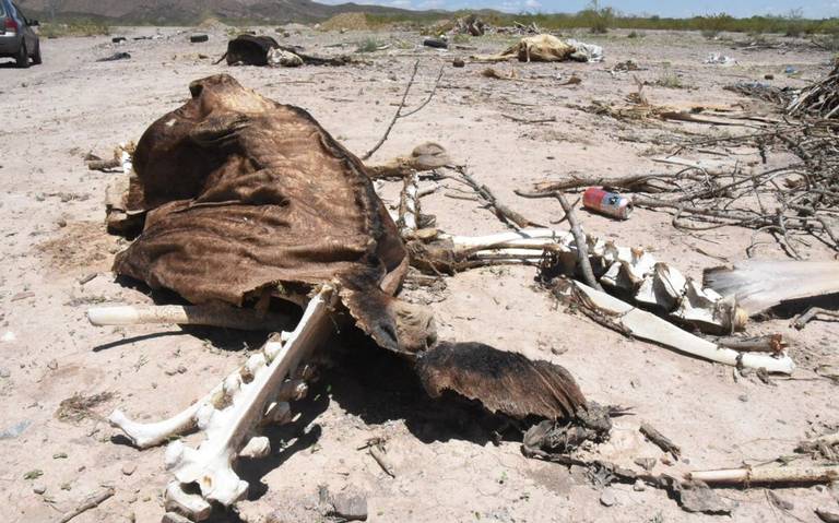 Disminuye sequía de 70% a 41% en el estado de Chihuahua