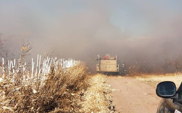 El clima en Chihuahua: Alerta Protección Civil por pronóstico de fuertes vientos