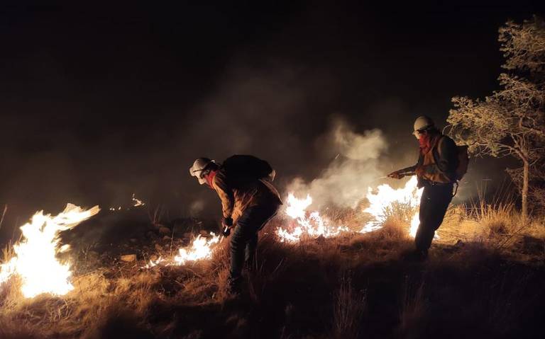 Guadalupe y Calvo con más incendios activos en la sierra, acumula nueve
