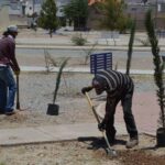 Reforestan parques en Rinconada Los Nogales y Minerales