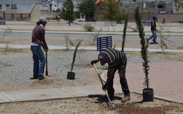 Reforestan parques en Rinconada Los Nogales y Minerales