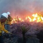 Se disparan en Chihuahua incendios forestales activos ¡a 24!