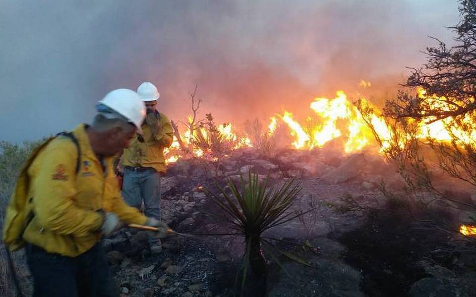 Se-disparan-en-Chihuahua-incendios-forestales-activos-¡a-24 thumbnail