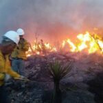 Siguen activos 11 incendios forestales en el estado