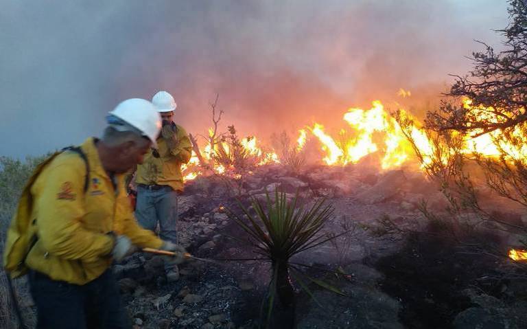 Siguen activos 11 incendios forestales en el estado thumbnail