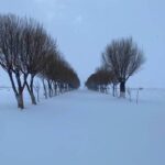Vuelve el frío! pronostican nevadas para Chihuahua y Juárez