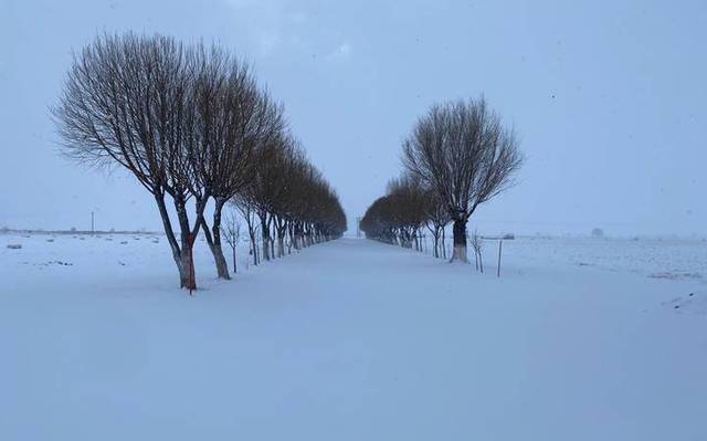 Vuelve el frío! pronostican nevadas para Chihuahua y Juárez