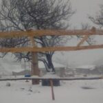 ¡Chihuahua se pinta de blanco! Reportan nevada en región de Madera – Cuauhtémoc