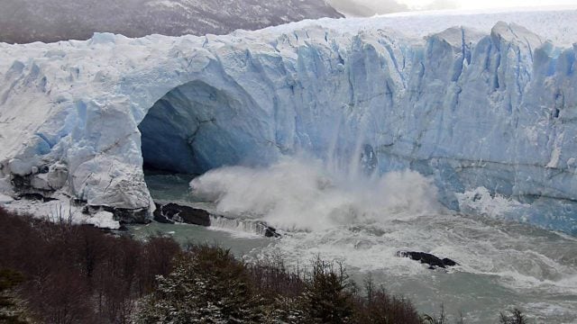 Recuperan en glaciar chileno el fósil intacto de un ictiosaurio preñado