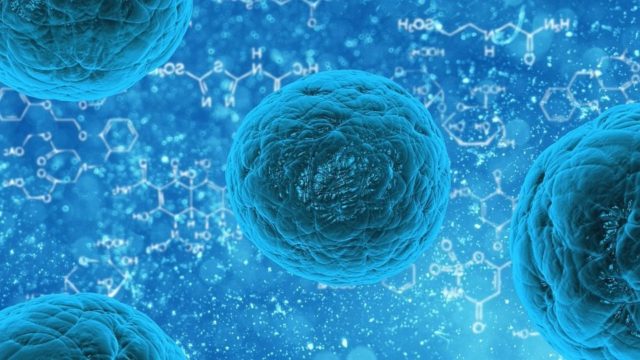25.2.- Descubren en la Antártida bacterias ‘hiperresistentes’ a antibióticos thumbnail