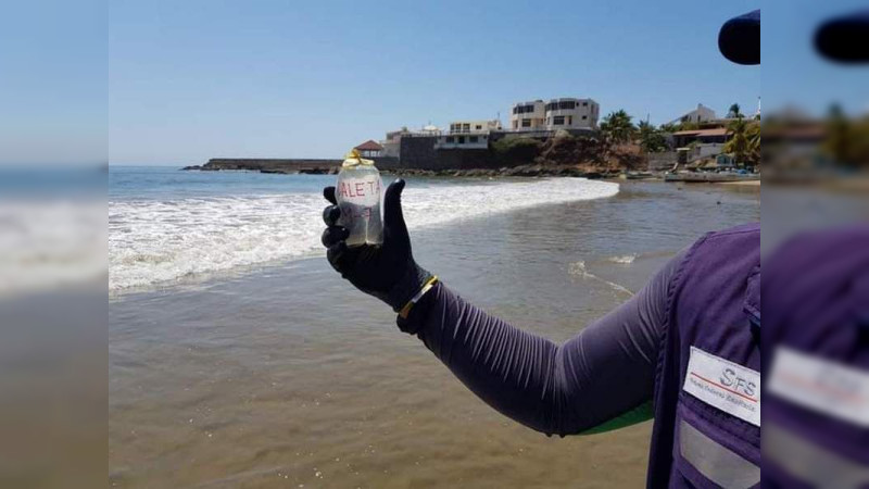 Coepris toma muestras de agua en playas michoacanas para garantizar seguridad de vacacionistas thumbnail