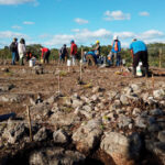 Construcción del Tren Maya respeta vestigios arqueológicos, afirma AMLO