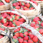 EU investiga posible hepatitis «A» en fresas mexicanas cultivadas en Baja California