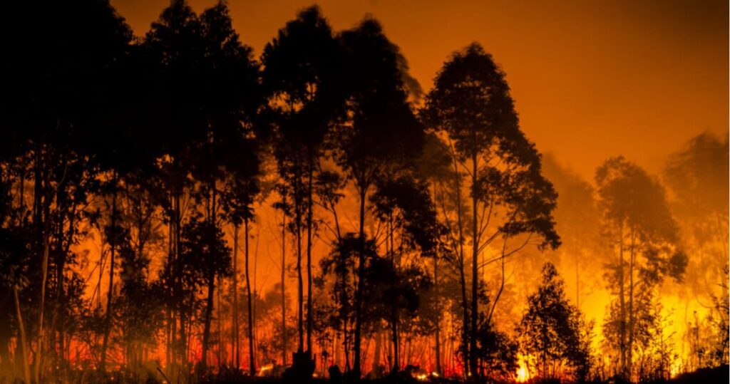El riesgo extremo de incendio se extenderá hasta 40 días en Europa thumbnail