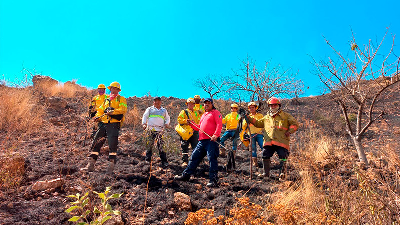 Equipos de emergencia logran sofocar incendio en el cerro de Monte Albán, Oaxaca thumbnail