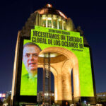 Greenpeace pide a Gobierno de México que firme Tratado Global de los Océanos
