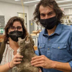 Identifican nueva especie de dinosaurio en Colombia 