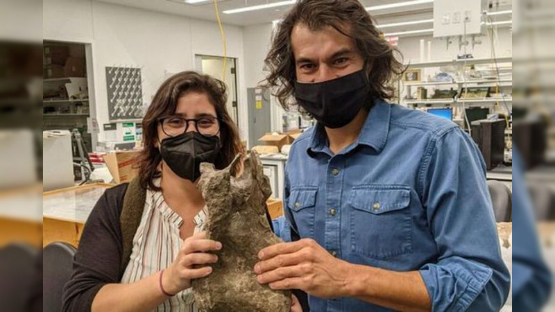 Identifican nueva especie de dinosaurio en Colombia 