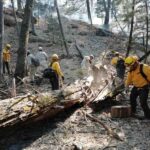 Incendios forestales devastan más de 5,000 hectáreas entre Sonora y Chihuahua