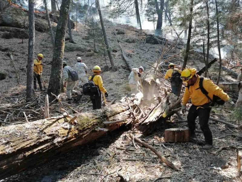 Incendios forestales devastan más de 5,000 hectáreas entre Sonora y Chihuahua