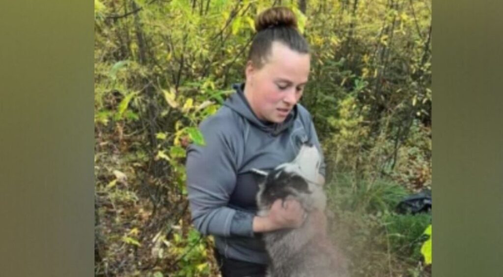 La mujer que mató a un perro que confundió con lobo se justifica De todos modos le habría disparado thumbnail