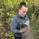 La mujer que mató a un perro que confundió con lobo se justifica: «De todos modos le habría disparado»