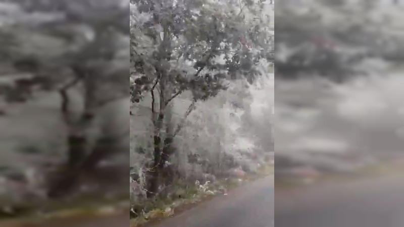 Reportan la primera muerte de una persona a causa del frio, en Monterrey thumbnail