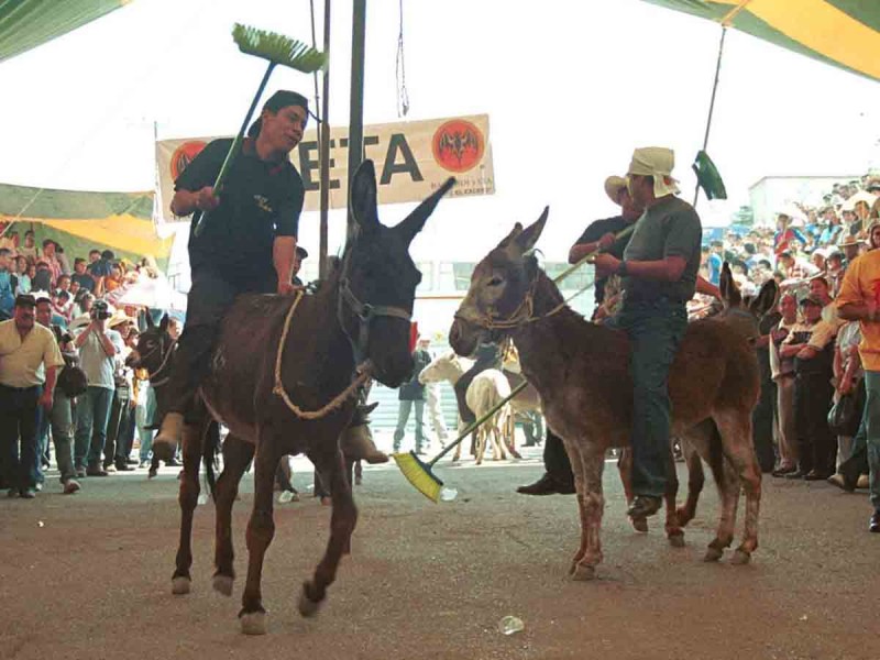 Una carrera en burro Toda una tradición en el Pueblo Mágico de Otumba thumbnail