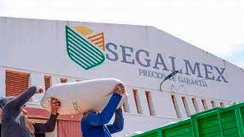 Vinculan a proceso a empresario que operó fraude de Segalmex thumbnail